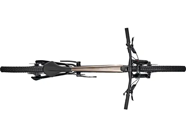 Horský bicykel Focus Raven 8.9 DI Silver Glossy / Carbon Raw Glossy