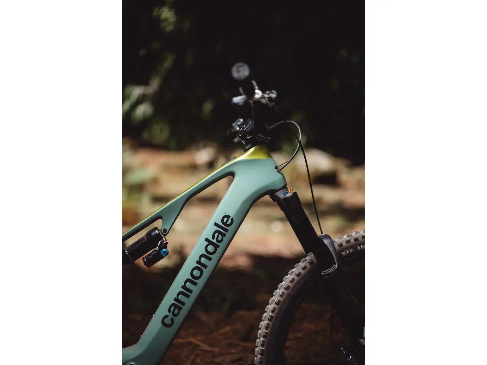Cannondale Moterra SL Carbon 1 odľahčený celoodpružený elektrobicykel IDE