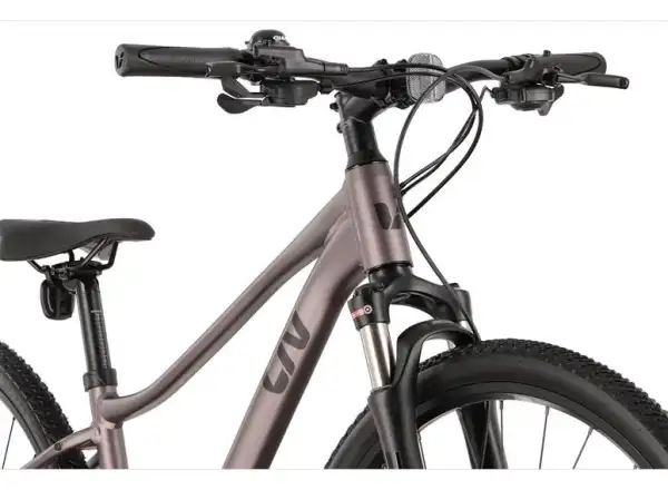 Liv Rove 1 DD dámsky trekingový bicykel Dark Eclipse
