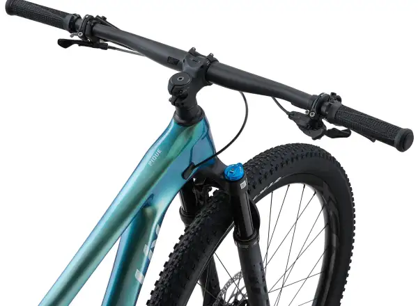 Liv Pique Advanced Pro 29 horský bicykel Phoenix Fanatic Teal/Dark Green