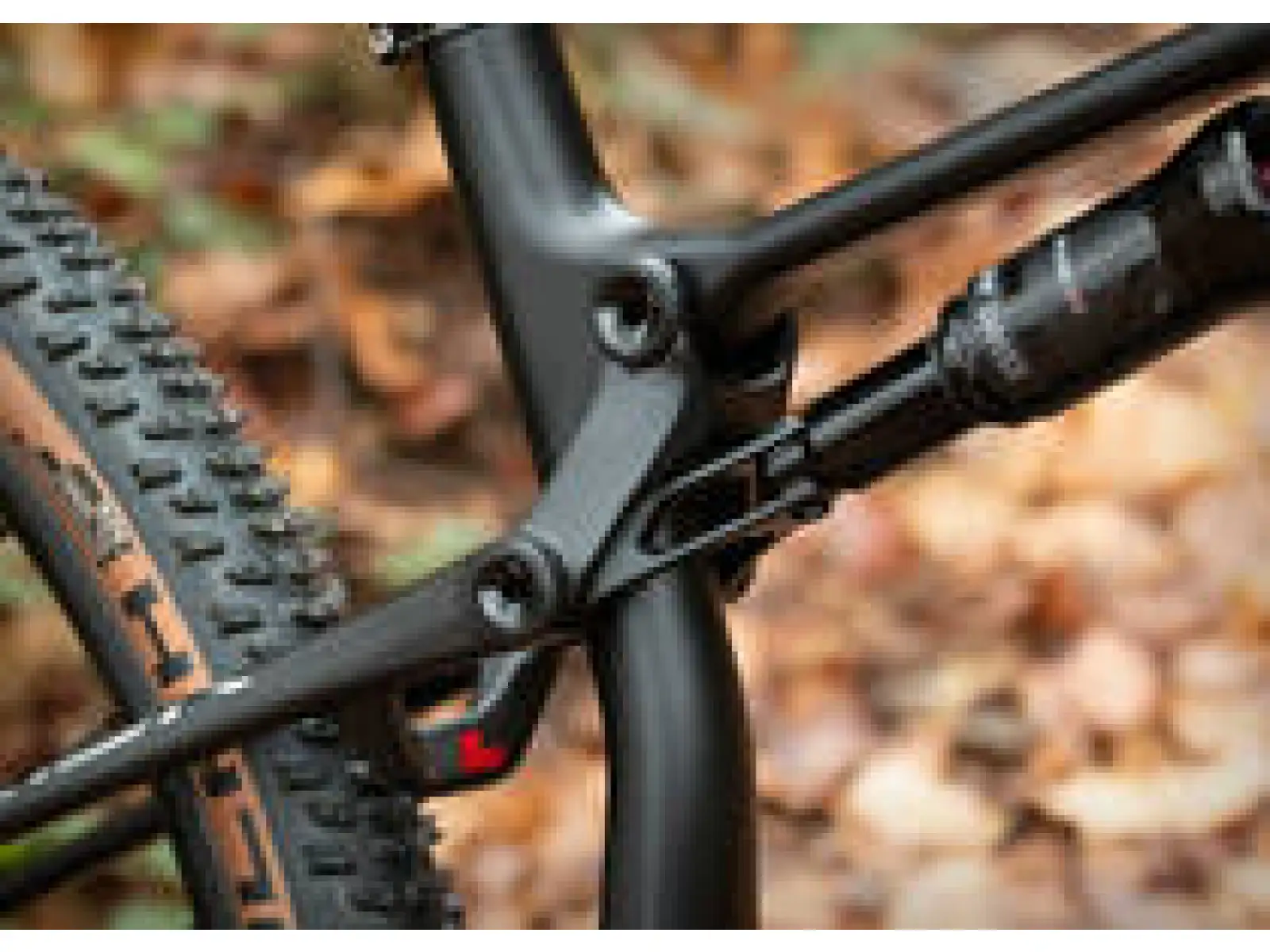 Superior Team XF 29 Issue R celoodpružený horský bicykel Matte Carbon/Chrome/Team Red