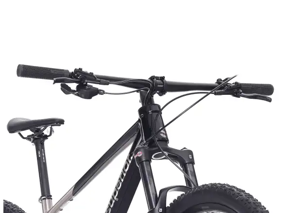 Superior XP 6.1 horský bicykel Gloss Brush Alu/Black