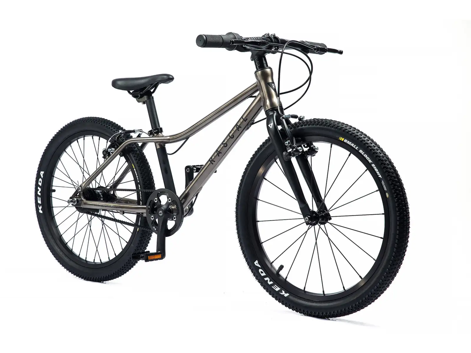 Rascal 20 Titanium detský bicykel