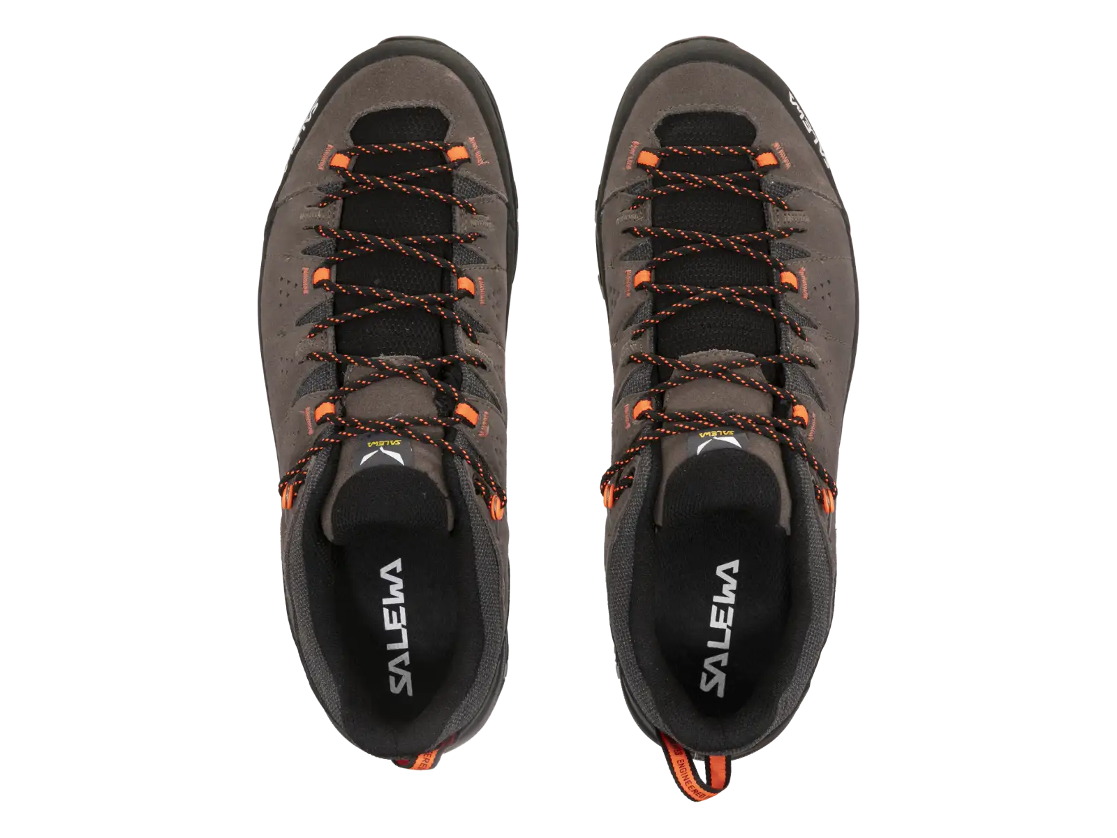 Salewa Alp Trainer 2 pánske topánky Bungee Cord / Black