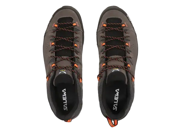 Salewa Alp Trainer 2 pánske topánky Bungee Cord / Black