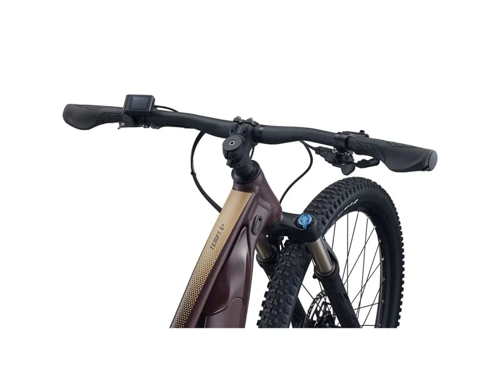 Liv Tempt E+ 1 29 dámsky horský elektrobicykel Figuier