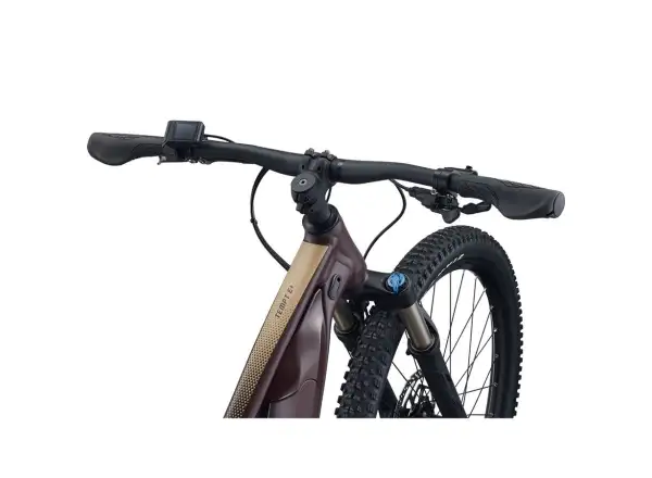 Liv Tempt E+ 1 29 dámsky horský elektrobicykel Figuier