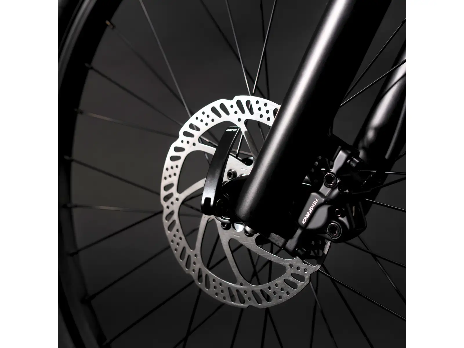 Rascal Wild 24 detské bicykel Bronze
