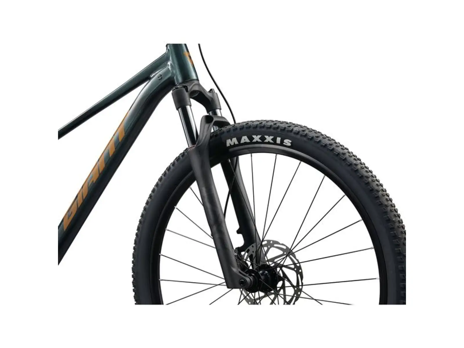 Giant Talon 29 2 horský bicykel Asphalt Green