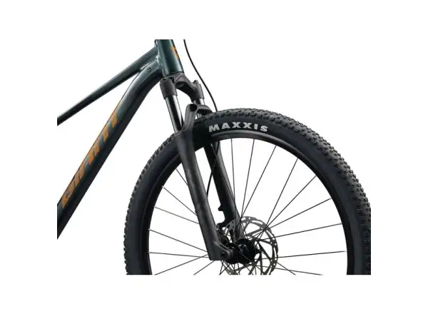 Giant Talon 29 2 horský bicykel Asphalt Green