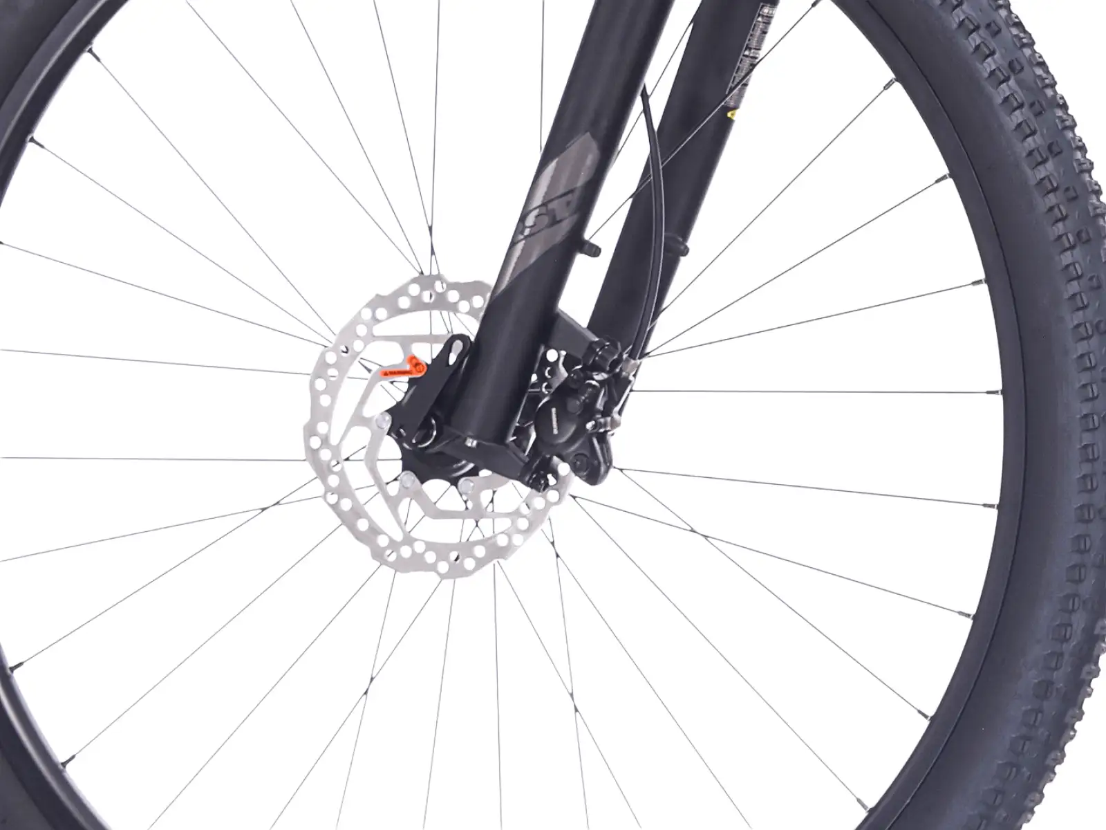 Rock Machine Catherine 10-29 horský bicykel Zircon Blue
