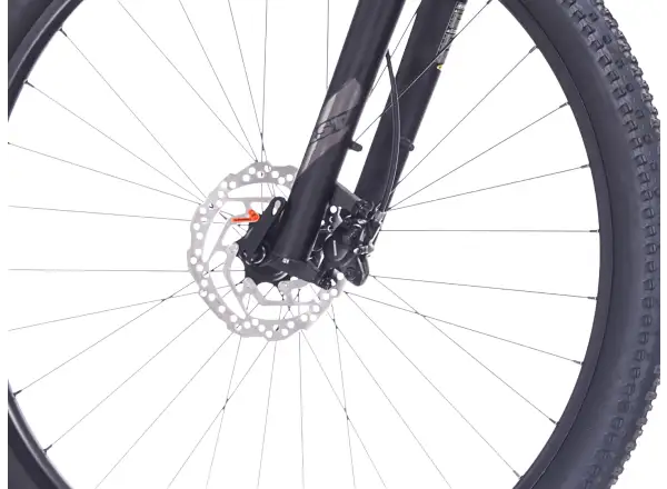 Rock Machine Catherine 10-29 horský bicykel Zircon Blue