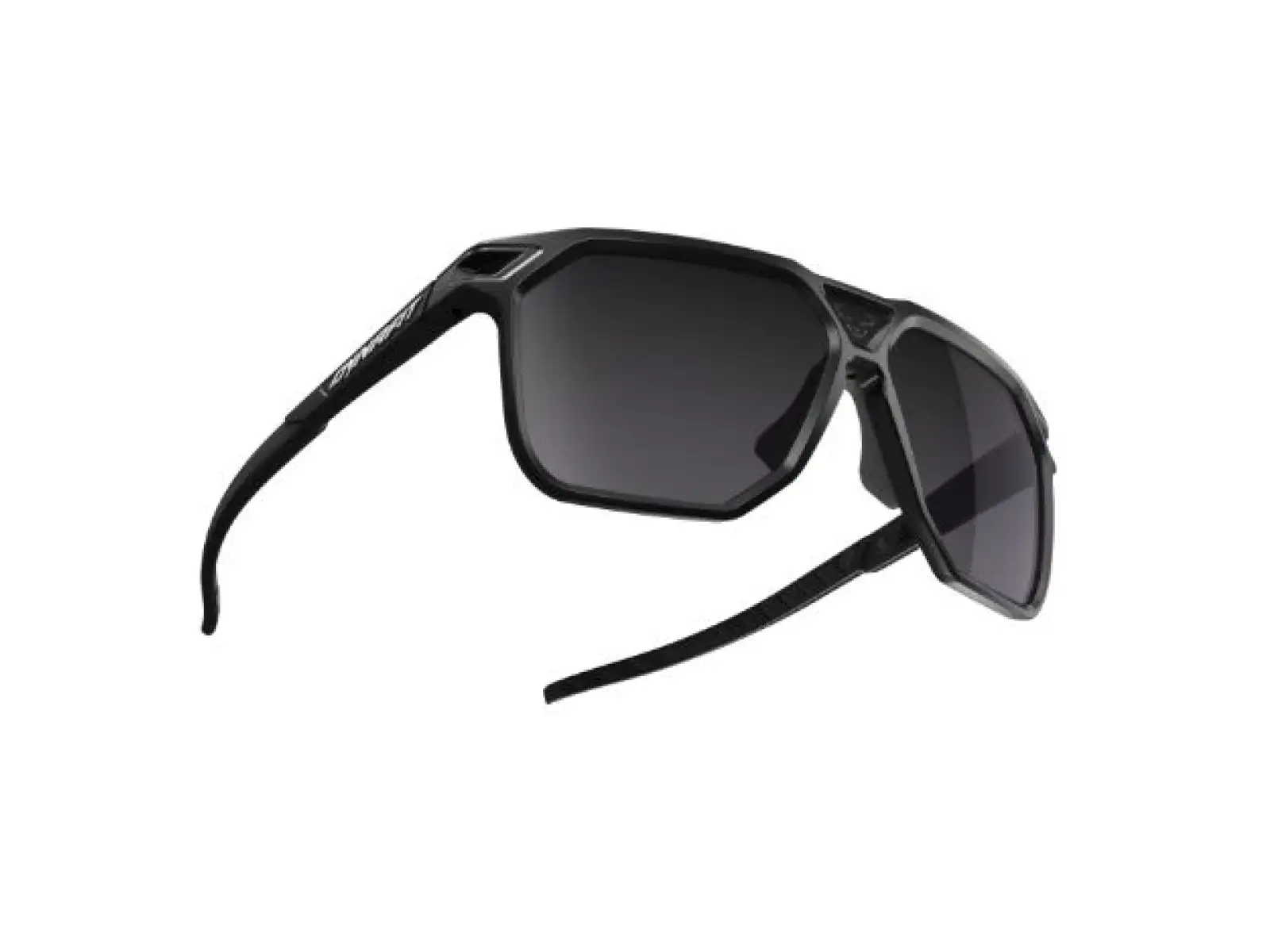 Dynafit Traverse okuliare Black Out/Nimbus