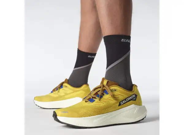 Salomon Aero Blaze 3 GRVL pánska bežecká obuv Spicy Mustard