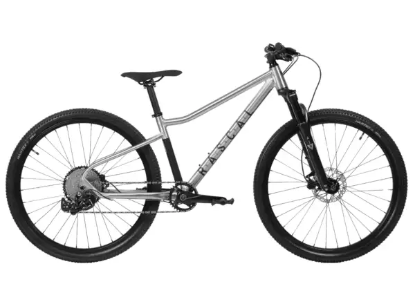 Rascal Wild 27 Limited detský bicykel Silver