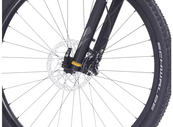 Superior XP 6.1 horský bicykel Gloss Brush Alu/Black