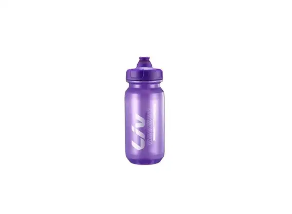 LIV CleanSpring fľaša Purple/Silver 600ml