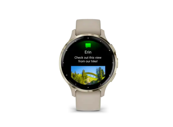 Garmin Venu 3S smart hodinky Soft Gold/French Gray