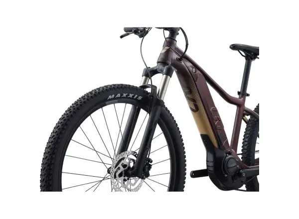 Liv Tempt E+ 1 29 dámsky horský elektrobicykel Figuier