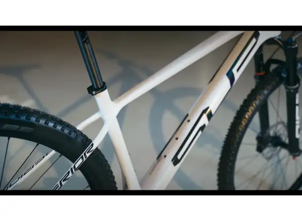 Horský bicykel Superior XP 969 Gloss White Metallic/Hologram Black