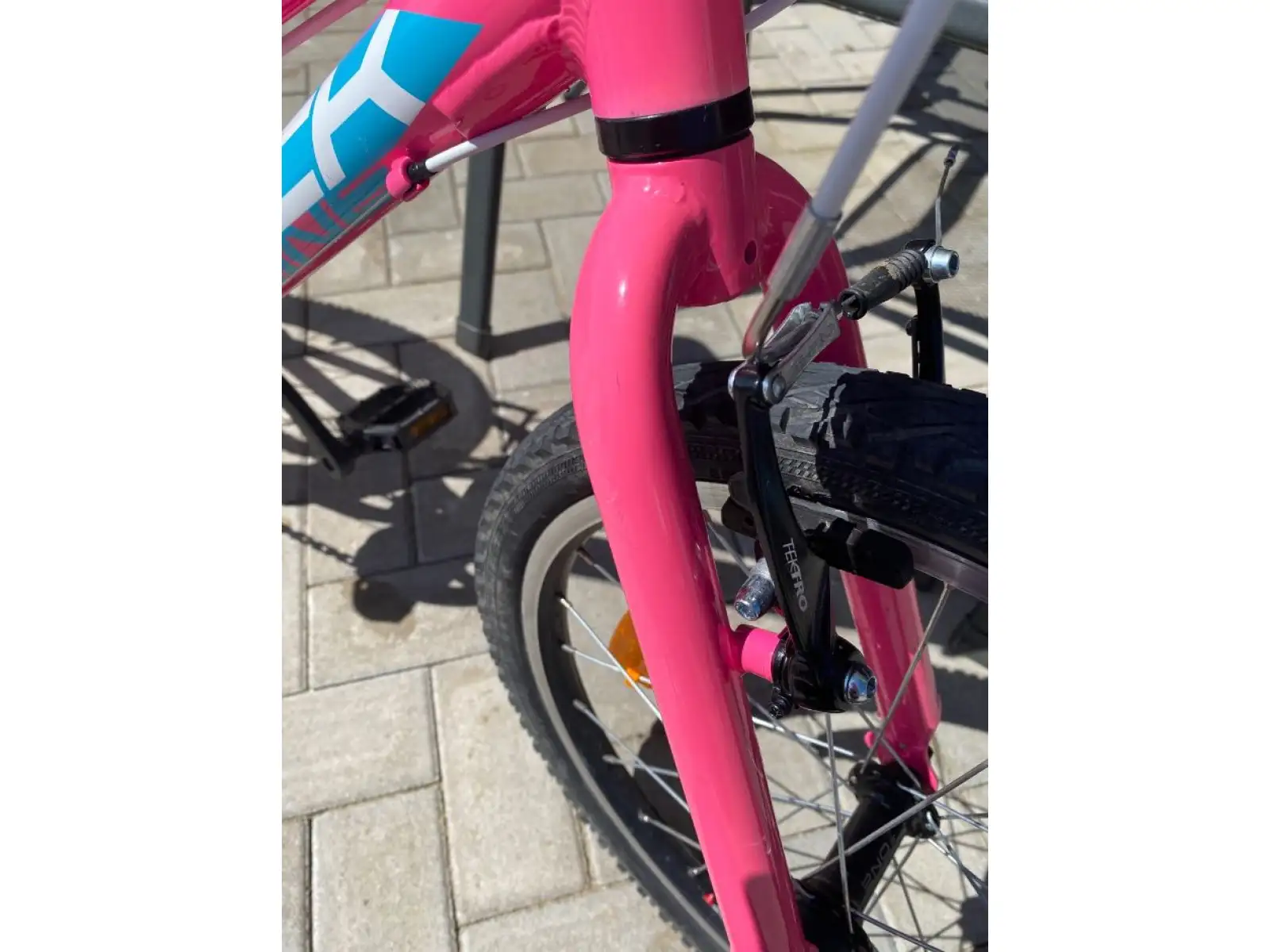 Rock Machine Catherine 20 gloss neon pink/Violet/neon cyan detský bicykel