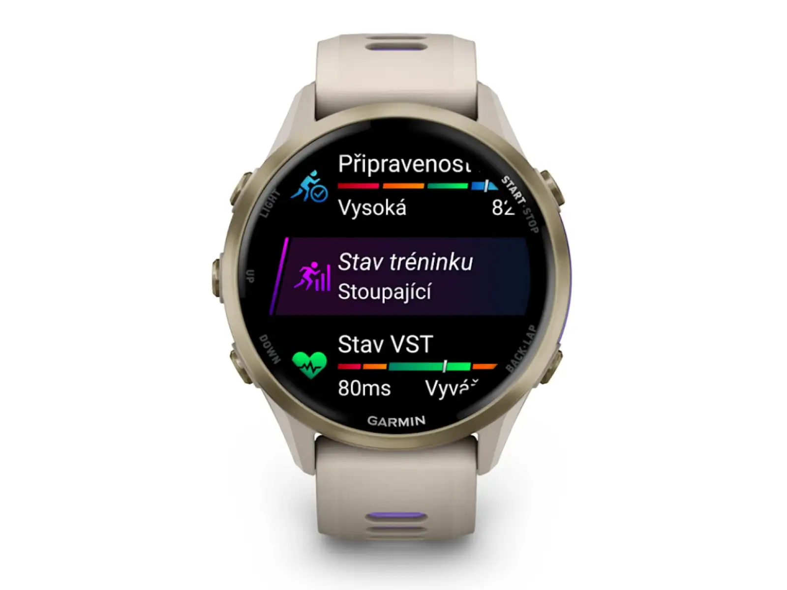 Garmin Forerunner 970 smart hodinky French Grey/Indigo