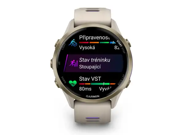 Garmin Forerunner 970 smart hodinky French Grey/Indigo