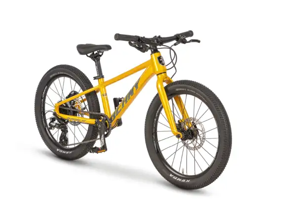 Beany Blaster XC 20 detský bicykel Gold