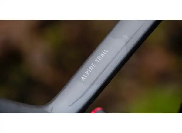 Horský bicykel Marin Alpine Trail Carbon 2 lesklá čierna/strieborná