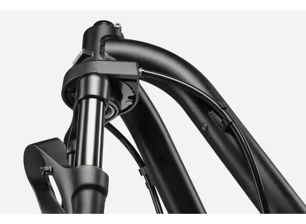 Cannondale Wonderwagen NEO 2 mestský elektrobicykel GRY