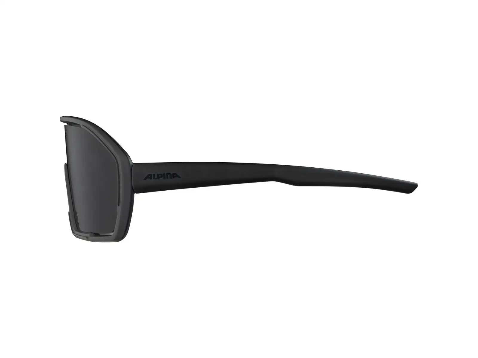 Alpina Bonfire okuliare All Black Matt