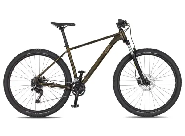 4Ever Frontbee XCM 29" horský bicykel Gold galaxy