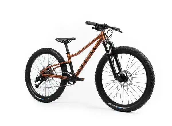 Rascal Wild 24 detské bicykel Bronze