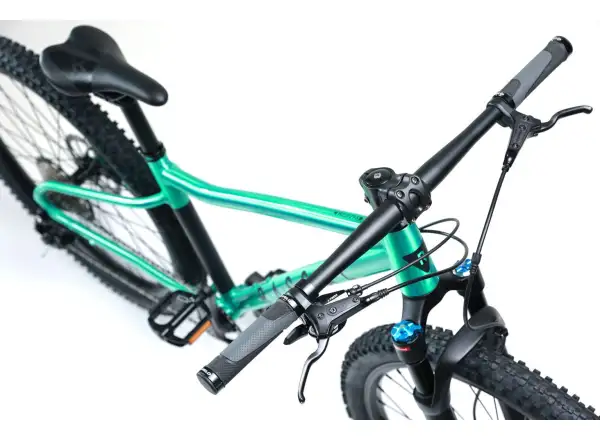 Rascal Wild 29 detský bicykel Emerald