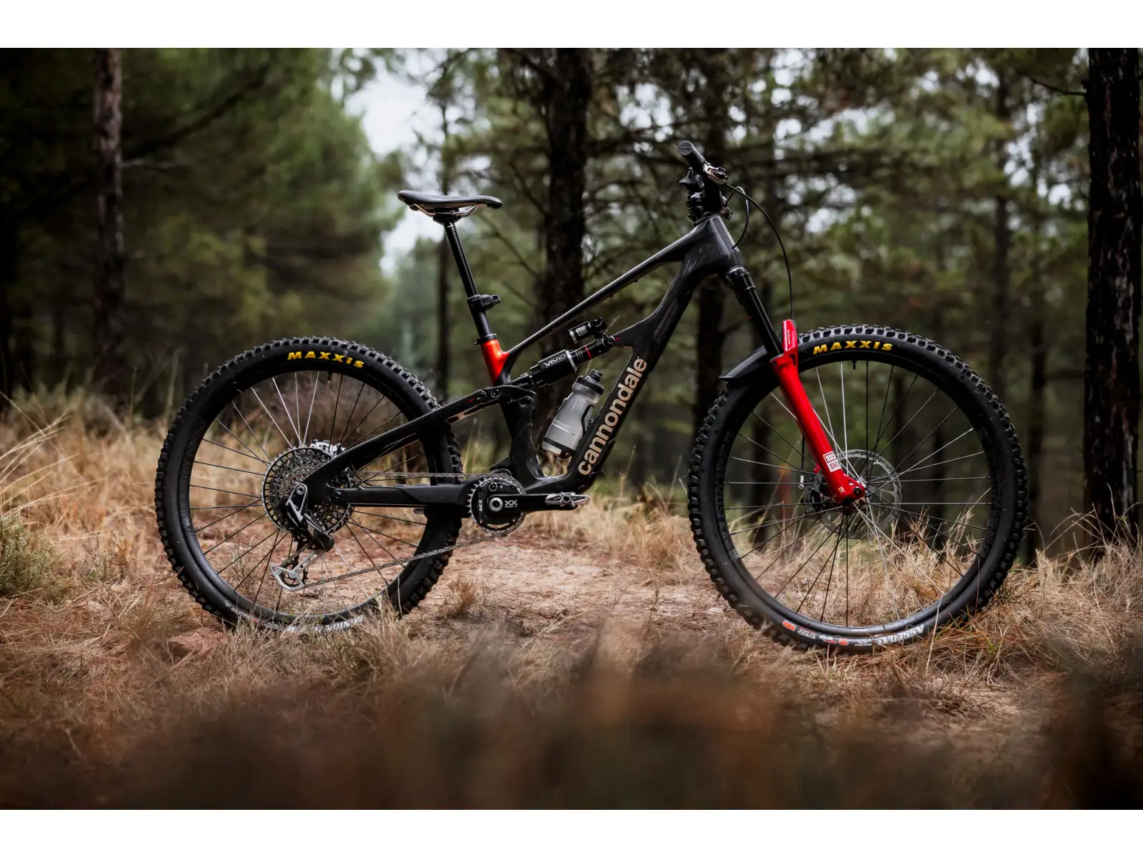 Cannondale Bad Habit 1 horský bicykel RAW Carbon