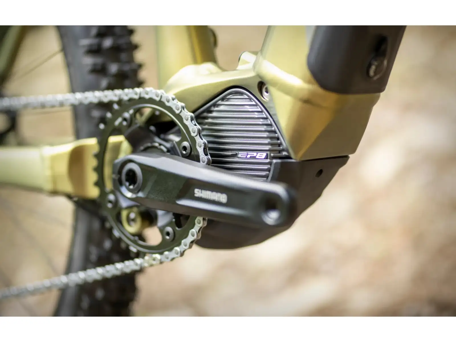 Superior eXP 8089 horský elektrobicykel Matte Olive Metallic/Chrome Silver