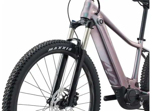 Liv Vall-E+ 2 29 Echeveria 2022 dámsky horský bicykel