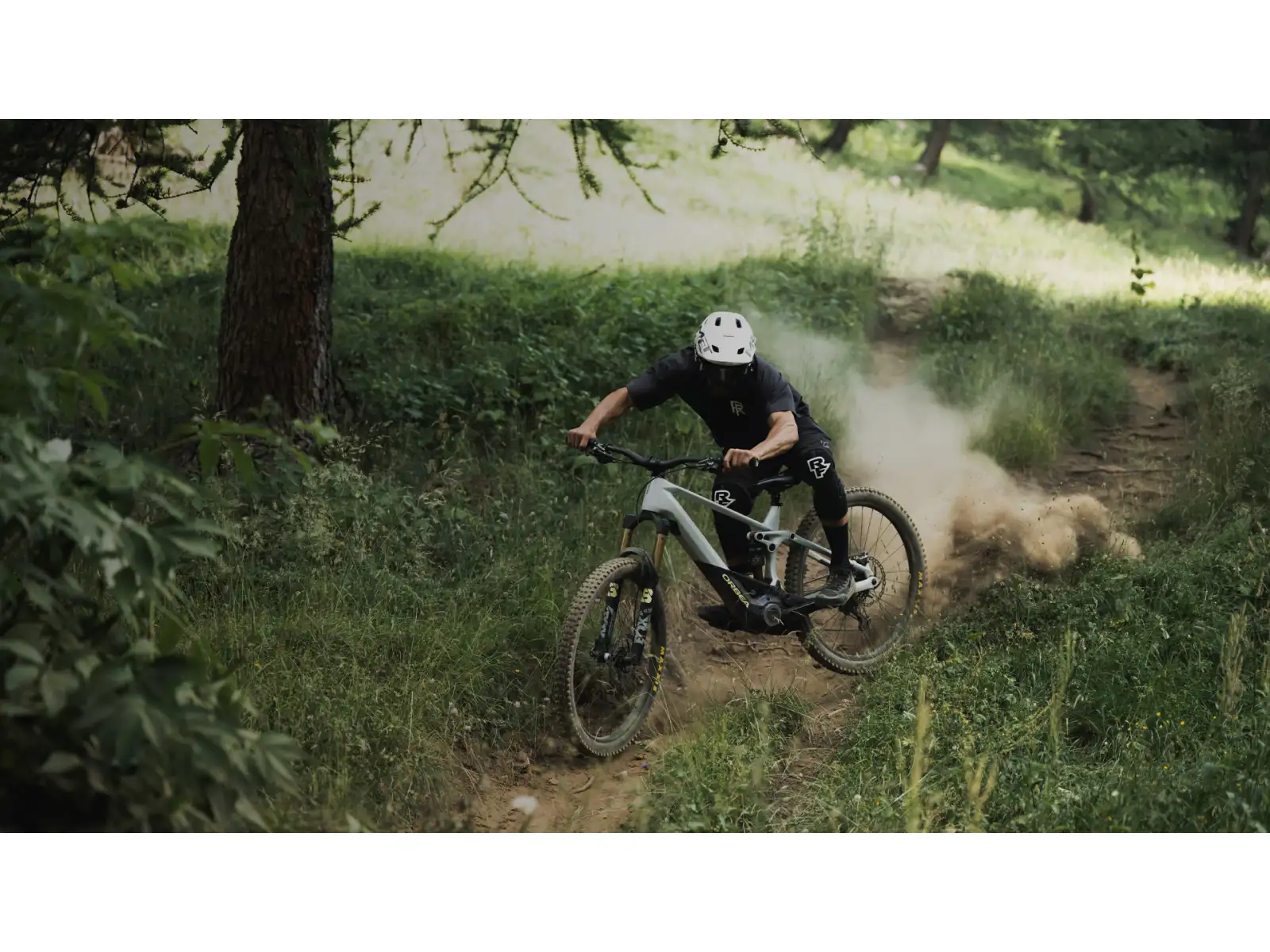 Horský bicykel Orbea Wild M20 Halo Silver/Tanzanite Carbon