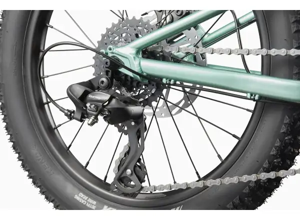 Cannondale Kids Trail Plus 20 detský bicykel Cactus Green
