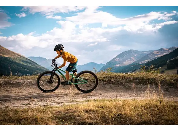 Rascal Wild 27 detský bicykel Bronze