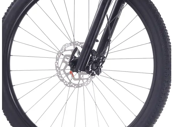 Rock Machine Blizz 30 horský bicykel 29" Gloss Limerock Grey