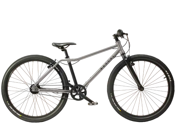 Rascal 26 Titanium 7 sp. Shimano Nexus detský bicykel