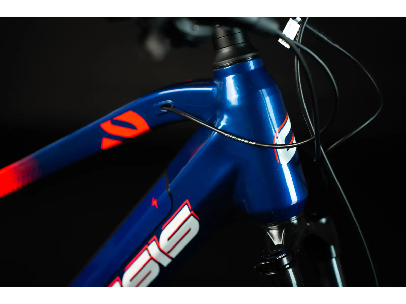 Crussis e-Atland 9.8-S horský elektrobicykel
