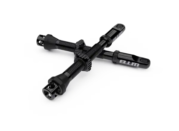 WTB TCS AL Max-Flow Presta Valve bezdušové ventilky 55 mm čierna 2 ks