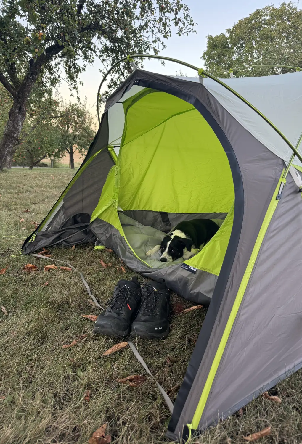 Turistický stan Salewa Lite Trek pro 2 osoby…anebo pro jednu a psa