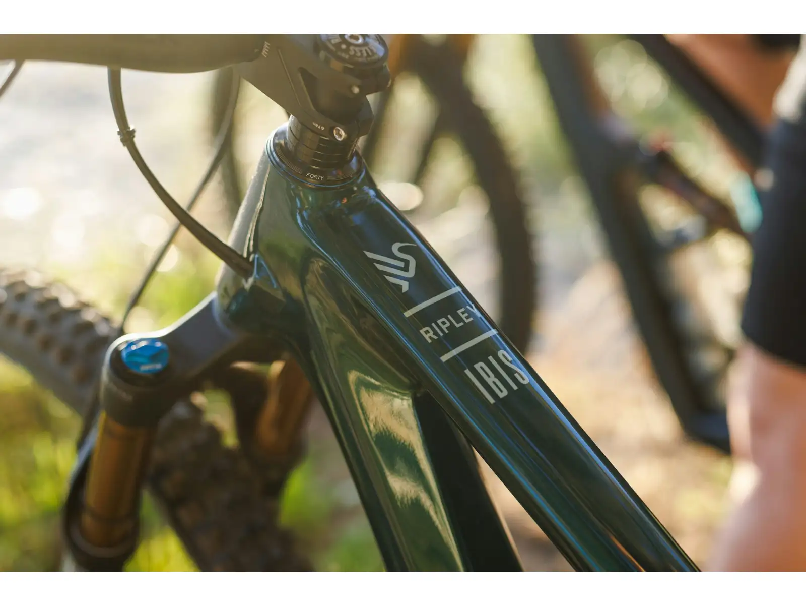 Ibis Ripley V5 XT Di2 horský bicykel Green Flash