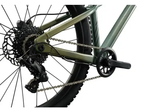 Liv STP 24 detský horský bicykel Alpine Green