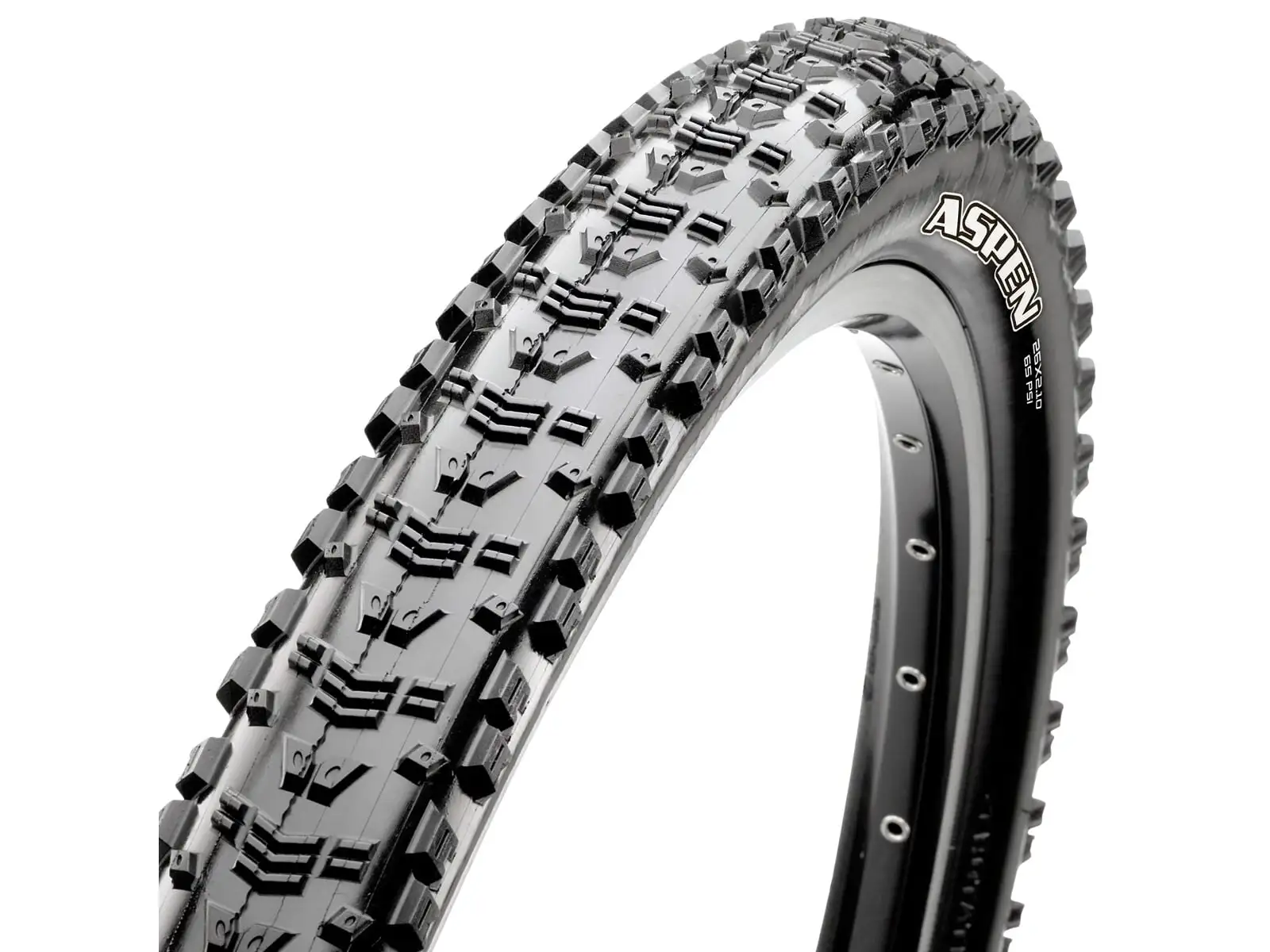 Maxxis Aspen TR EXO MaxxSpeed 29x2,40" MTB plášť Kevlar čierna