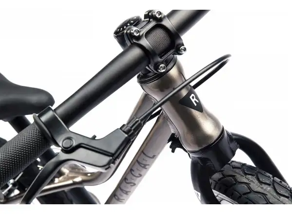 Rascal Punk Titanium detské odrážadlo
