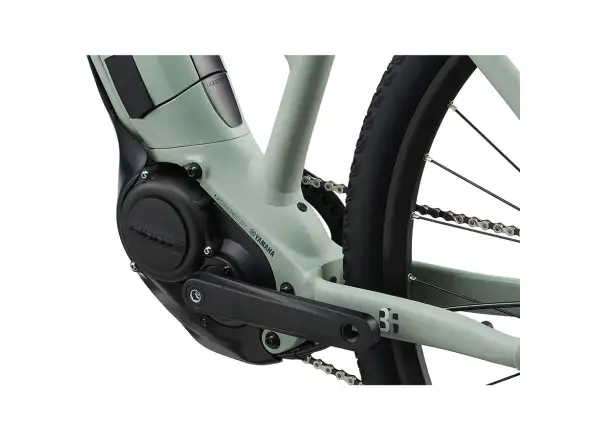 Dámsky trekingový e-bike Liv Rove E+ vavrín